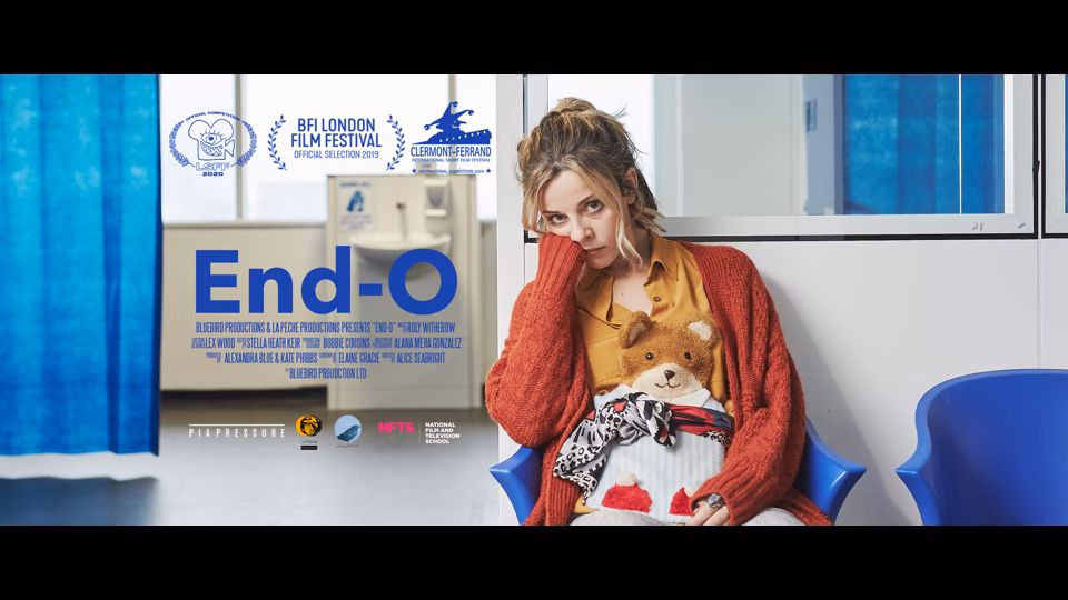 End-O: Understanding Endometriosis